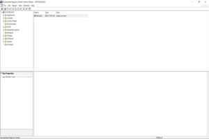 Registry Viewer