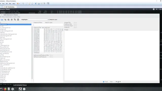 Screenshot of Bulk Extractor