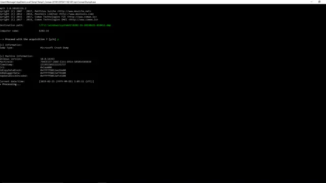 Screenshot of DumpIt